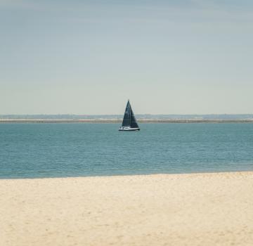 LES MEILLEURES ACTIVITÉS A FAIRE A ARCACHON