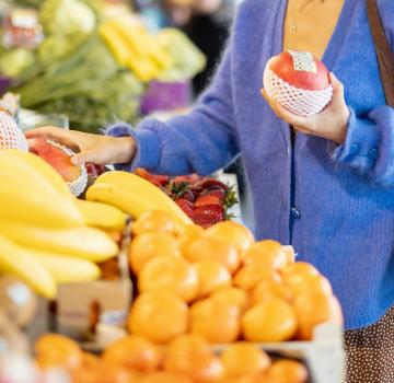 LES MARCHES INCONTOURNABLES DU BASSIN