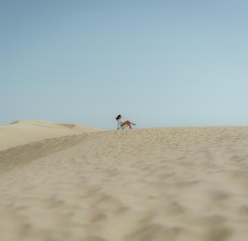 VIVEZ ARCACHON À VOTRE RYTHME
