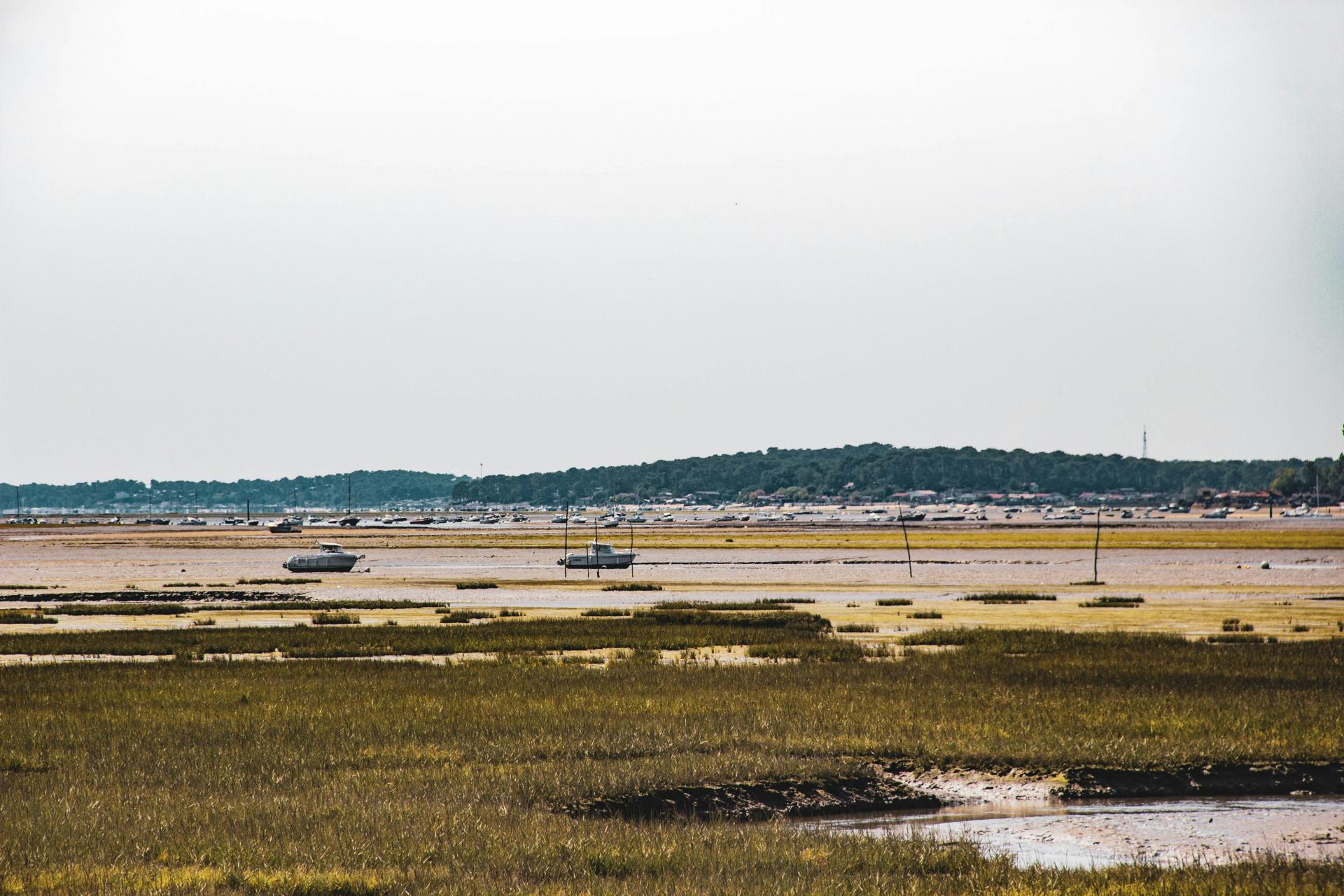 Arcanse -Arcachon
